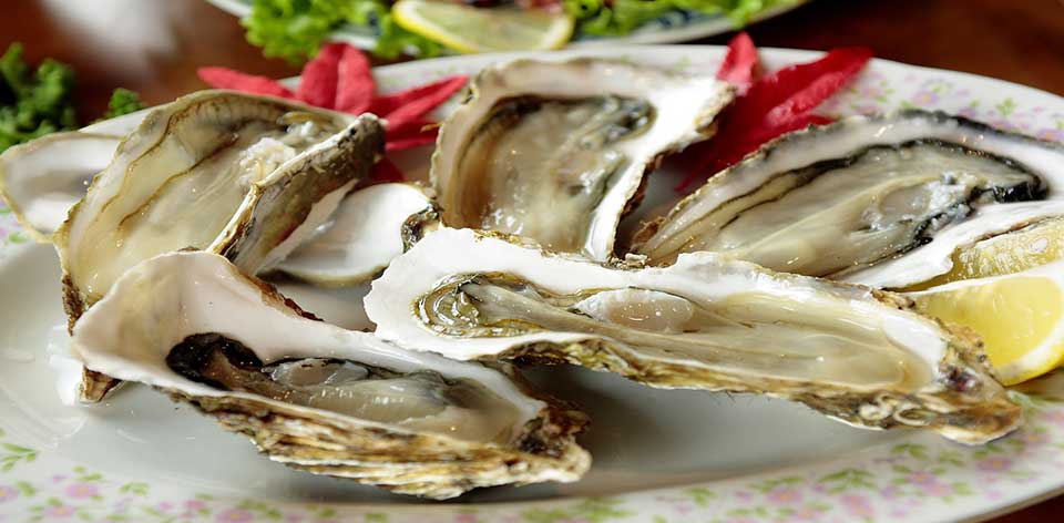 Oysters